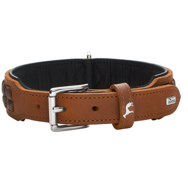 Hunter Skinnhalsbånd til hund, El Paso