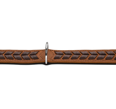 Hunter Skinnhalsbånd til hund, El Paso