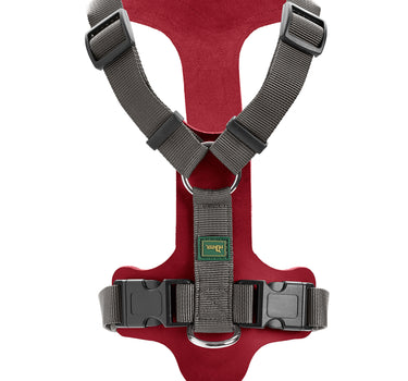 Hunter hundesele Aalborg