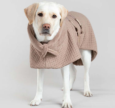 Paikka Spa Tørkedekken til hund