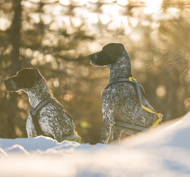 seleverkstedet Nome Racing Trekksele