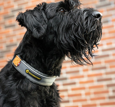 Seleverkstedet Unify Halvstrup Hundehalsbånd