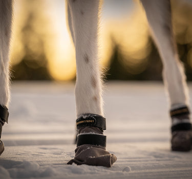 Seleverkstedet High Endurance Hundesko 4-pkn.