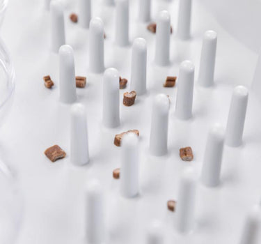 Trixie Fun Board - Katteleke for aktivitet