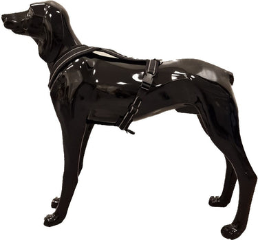 Yukon Spor-/Sykkelsele Pro Svart