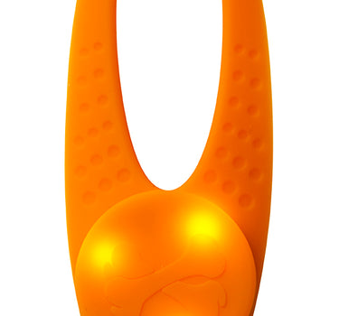 Blinkelys Basic LED – Synlig og Sikkert LED-lys for Hund, Perfekt for Kvelds- og Nattbruk