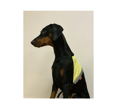 Yukon Markeringsdekken Rosa/Gul