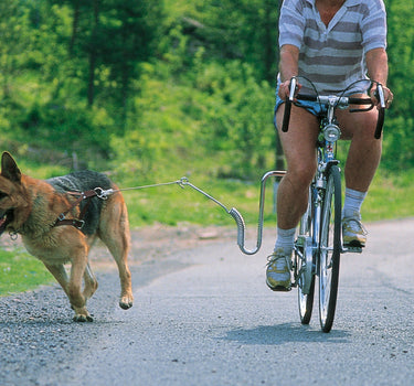 Springer Sykkelfeste