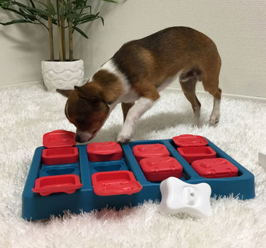 Aktiveringsleke Brick 2 – Utfordrende Puslespill for Hund, Stimulerer Hjernens Evne til Problemløsning