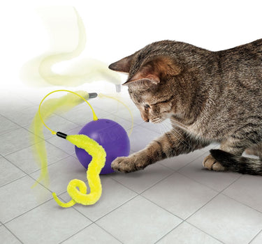 Kong Leke Purrsuit Whirlwind