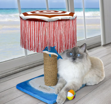 Kong klorebrett Play Spaces CATbana