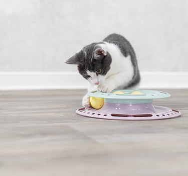 Trixie Junior lekesirkel for kattunger