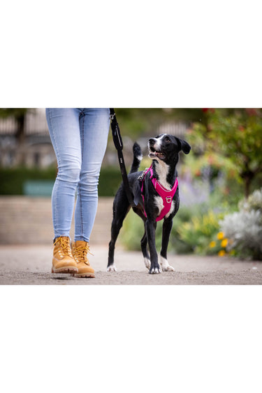 Kyflie Momentum Harness Rosa