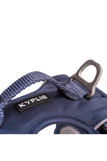 Kyflie Momentum Harness Blå