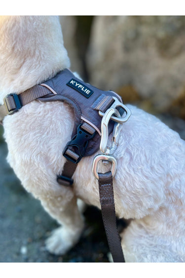 Kyflie Momentum Harness Grå