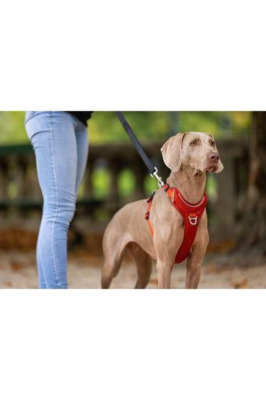 Kyflie Momentum Harness Kobber