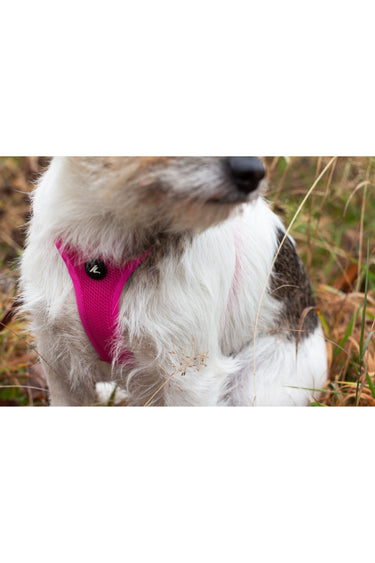 Kyflie Momentum Air Step-In Sele Cerise
