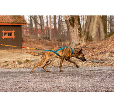 Yukon Nomesele Pro Nano Sjøgrønn str 43/M