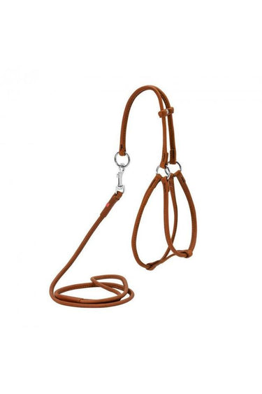 Collar Waudog Rundsydd Sele + Kobbel Brun