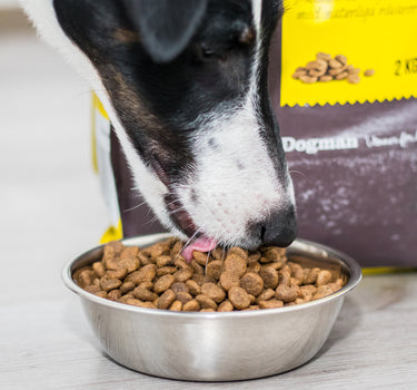 Harmony Adult Small breed Tørrfôr - Premium Hundemat