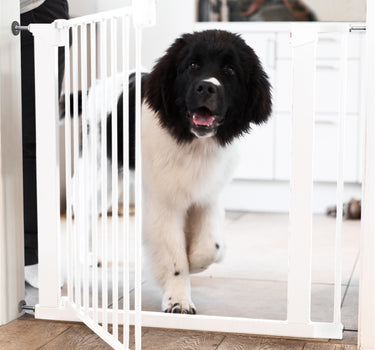 DogSpace Lassie trykkmontert hundegrind