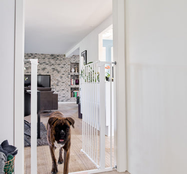 DogSpace Bonnie Trykkmontert Grind Ekstra Høy – Sikkerhetsgrind for Hjem med Hund og Katt