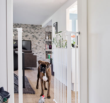 DogSpace Bonnie Trykkmontert Grind Ekstra Høy – Sikkerhetsgrind for Hjem med Hund og Katt