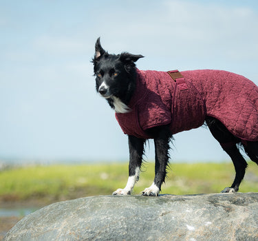 Siccaro Tørkedekken til hund