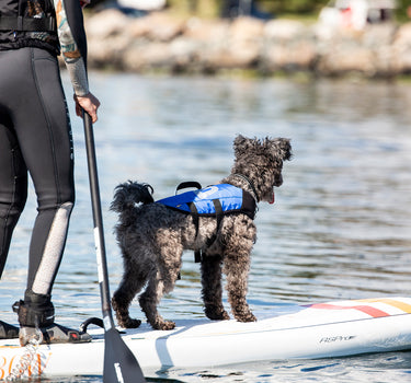 Dogman Splash Flytevest til hund
