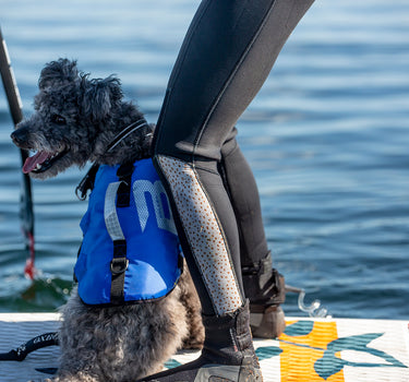 Dogman Splash Flytevest til hund