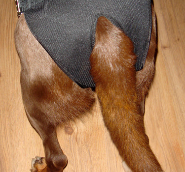 Dogman Justerbar Tispetruse