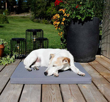 Bia Bed Outdoor Hundemadrass