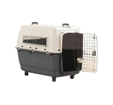 Savic Transportbur Andes