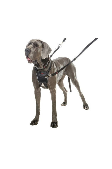 Halti No-Pull Harness