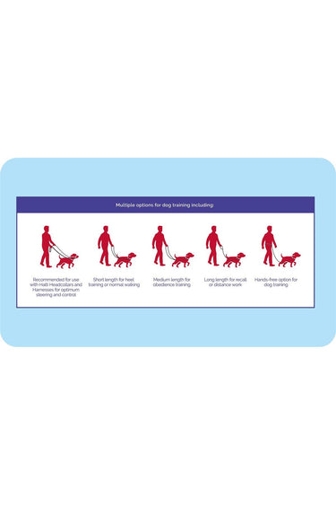 Halti Training Lead