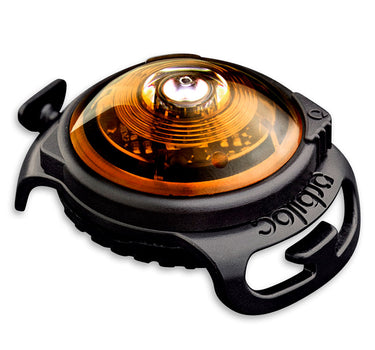 Orbiloc Amber Dual