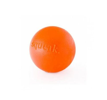 Planet Dog Squeak Ball