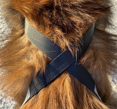 Yukon Nomesele Dobbel Stolpe