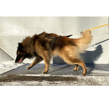 Yukon Nomesele Dobbel Stolpe