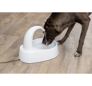 Trixie Curved Stream drink fontene