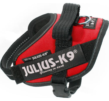 Julius-K9 IDC-hundesele