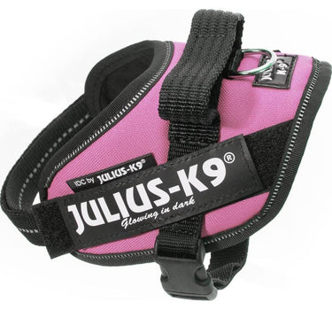 Julius-K9 IDC-hundesele