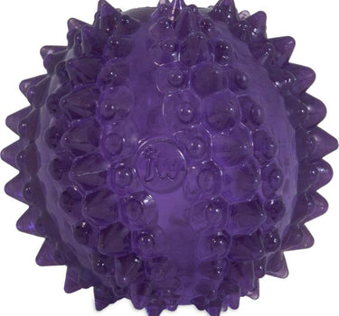 JW Bristly Cactus Ball