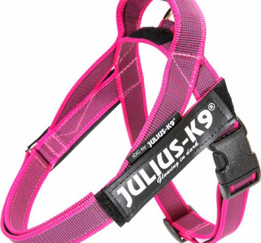 Julius-K9 IDC Color & Gray hundesele