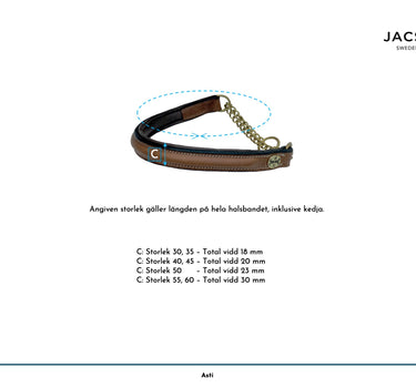 Jacson Asti Hundehalsbånd – Elegant og Solid Halsbånd for Hund