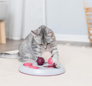 Trixie Cat Activity Flip Board strategispill