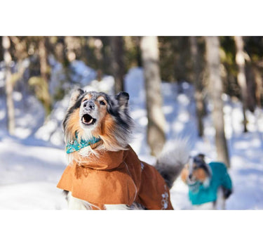 Hurtta Monsoon II ECO hundedekken