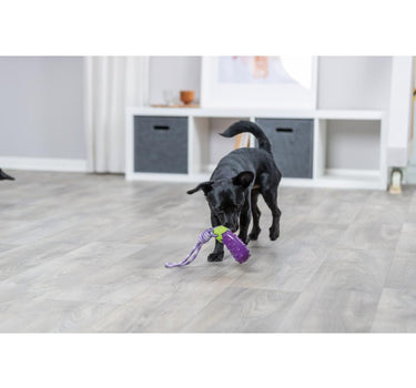 Trixie Aubergine på et tau