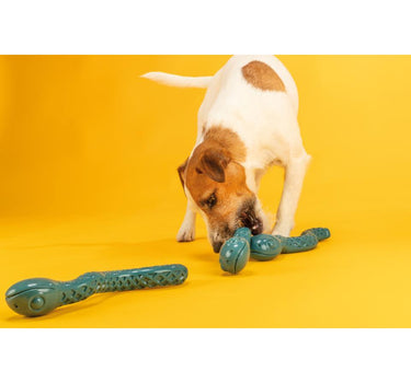 Jolly Paw Snack-slange