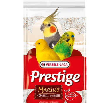 Prestige Shell Sand Marine